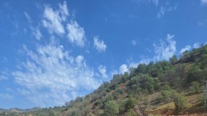 Tunceli'de, gençlerden örnek davranış