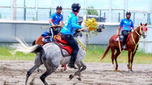 Erzurum'da cirit heyecanı sürüyor