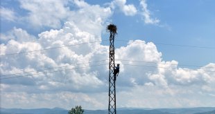 Kuşları korumak ve kesintisiz enerji için direklere izolasyon yapılıyor