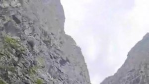 Ayı, motosikletli vatandaşları böyle kovaladı