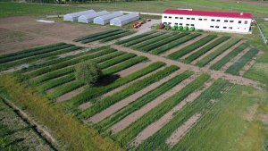 Ağrı'daki Çiftçi Eğitim Merkezi'nde üreticilere çilek yetiştiriciliği de öğretiliyor