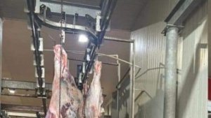 Bayramda et kesimhaneleri yetkililerin denetiminde