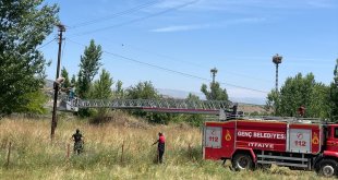 Bingöl'de itfaiye ekibi yıkılan leylek yuvasını onardı