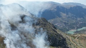 Kemaliye'de örtü yangını