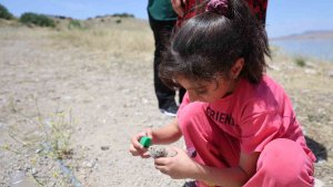 8 yaşındaki kızın, susuz kalan martı yavrusunu kurtarma mücadelesi yüreklere dokundu