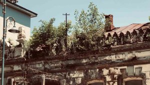 Kars'ta tarihi binanın üzerinde ağaç yetişti