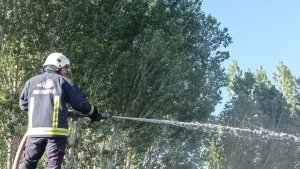 Özalp'te ahır, tandır evi ve odunluk yangını