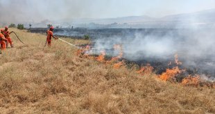Bingöl'de çıkan örtü yangını ormana sıçramadan söndürüldü
