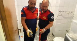 Erzincan'da banyonun havalandırmasına düşen karga yavrusu kurtarıldı