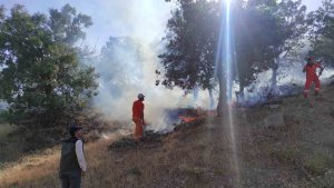 Bingöl'de iki ayrı bölgede çıkan yangınlar söndürüldü