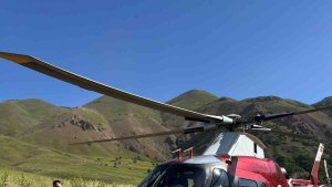 Arı sokması sonucu bilinç kaybı yaşayan hasta, ambulans helikopterle Erzurum'a sevk edildi