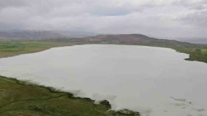 Bu yıl kurumayan Akgöl misafirlerini ağırlıyor