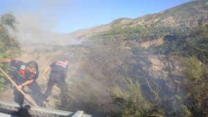 Elazığ'da 1 saatte 3. yangın: Söndürme çalışmalarına TOMA'lar da destek verdi