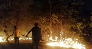 Elazığ'da orman ve mera alanında çıkan yangın kontrol altına alındı