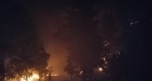 Malatya'da çıkan orman yangını söndürüldü