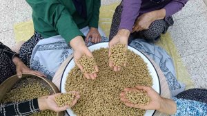 Coğrafi işaretli Ulukale dutu, Tunceli'nin köyünden çıkıp dünyaya ihraç ediliyor