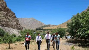 Vali Çelik, Depin bölgesi için harekete geçti