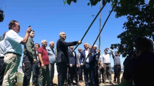 Malatya'da kayısı hasat şenliği düzenlendi