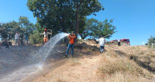 Bingöl'de örtü yangını ormana sıçramadan söndürüldü