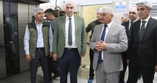 Malatya'da "Ziraat Okulu" öğrencileri ektikleri buğdayın hasadını yaptı