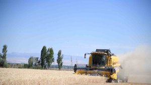 Battalgazi Ziraat Mesleki ve Teknik Anadolu Lisesi'nde buğday hasadı