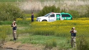 Van'da 58 ton ölü inci kefali ele geçirildi, toplam 2,3 milyon lira ceza uygulandı