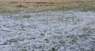 Ağrı'da dolu tarım arazilerine zarar verdi