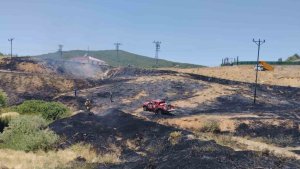 Bingöl'de çıkan orman yangını büyümeden söndürüldü