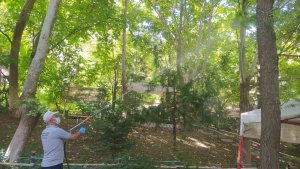 Hakkari'de haşere ile mücadele devam ediyor