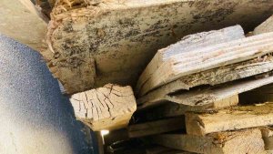 Tahtaların altına sıkışan yavru köpeği itfaiye ekipleri kurtardı