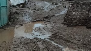 Ağrı ve Kars'ta sel bazı köylerde hasara yol açtı