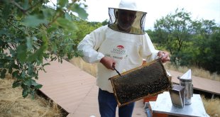 AB tescili alan "Bingöl balı"nda hedef markalaşma