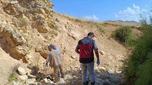 Biri uçurumdan atlayınca diğerleri peşinden koştu: 43 koyun telef oldu