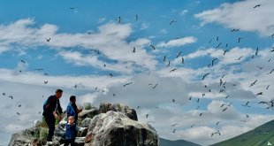 2 bin 241 rakımda yüzlerce kuşa ev sahipliği yapıyor
