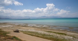 "Van'ın incisi"ni avlayanlara 2 milyon 250 bin lira ceza kesildi