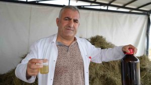 Ağrı Dağı eteklerinden kozmetik sanayisine