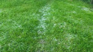 Aras Elektrik karanlıkta bıraktı