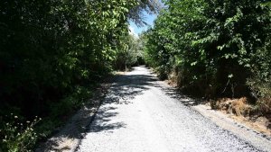 Taşkın: ''Hizmette kararlıyız''