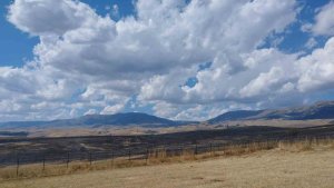 Varto'da anız yangını