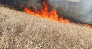 Bingöl'de ormanlık alanda çıkan yangın söndürüldü