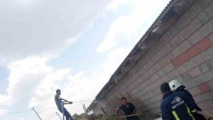 Özalp'te bin bağ ot yandı