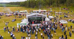 Ardahan'da "23. Ulusal Göle Kültür ve Kaşar Festivali" başladı