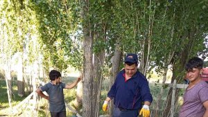 Ağrı'da itfaiye, yangın merdiveniyle ineği kurtardı