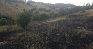 Bingöl'de çıkan örtü yangını söndürüldü