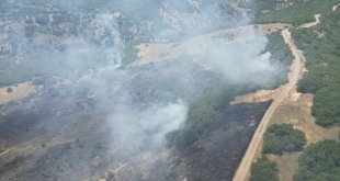 Bingöl'ün 2 ilçesinde çıkan orman yangınları söndürüldü