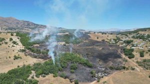 Bingöl'deki orman yangınları söndürüldü
