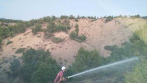 Bingöl'de orman yangını büyümeden söndürüldü