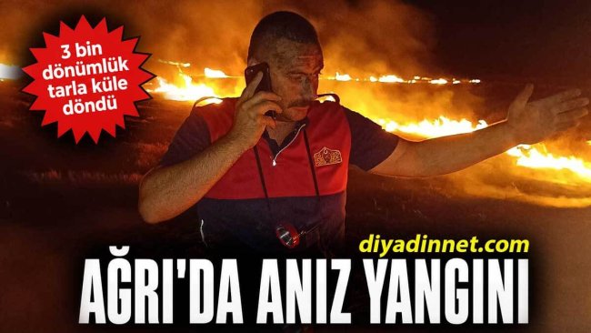 Ağrı Eskiharman Köyü'nde anız yangını: 3 bin dönümlük tarla küle döndü