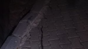 Elazığ'da lavaboya giren 2 metrelik yılan korkuttu