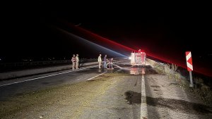 Ağrı'da minibüsün çarptığı 3 kişi yaralandı, 55 koyun telef oldu